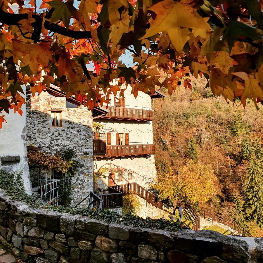 La Tana Del Tasso Rooms&Breakfast Camerata Cornello Luaran gambar